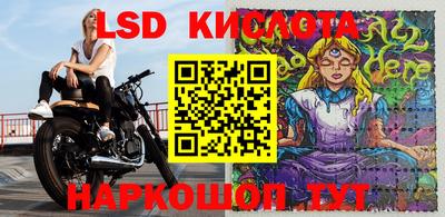 ГАЛЛЮЦИНОГЕННЫЕ ГРИБЫ Славгород