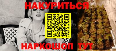 ГАЛЛЮЦИНОГЕННЫЕ ГРИБЫ Славгород