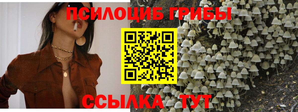 Галлюциногенные грибы Cubensis Рассказово