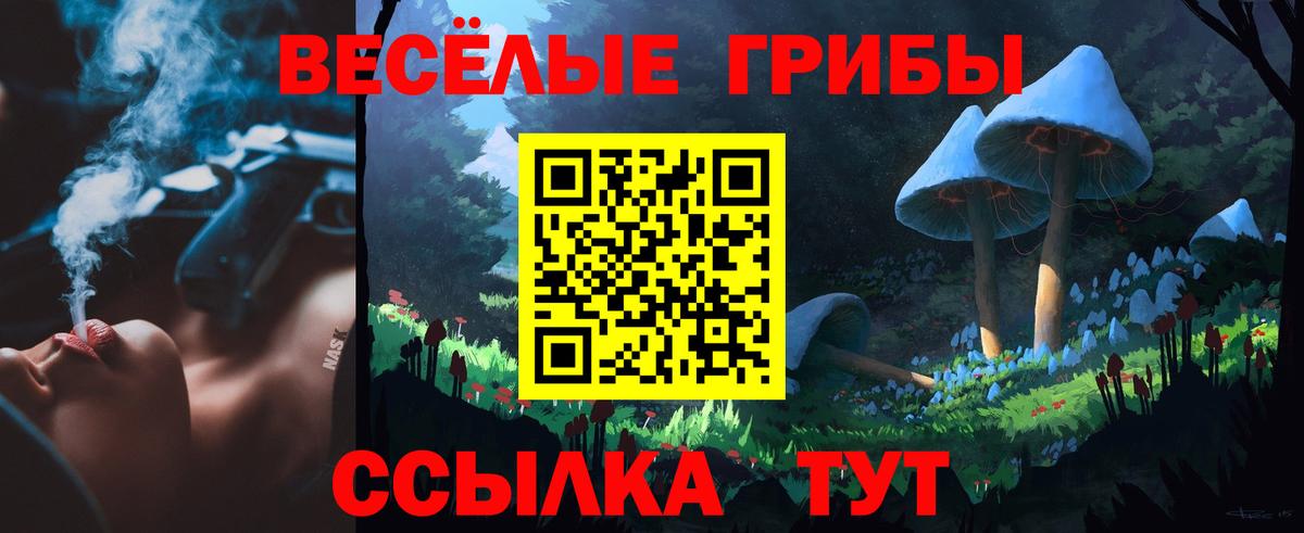 Галлюциногенные грибы GOLDEN TEACHER  Псилоцибиновые грибы Cubensis  Вход с VPN  Рассказово 